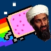 Nyan Bin Laden